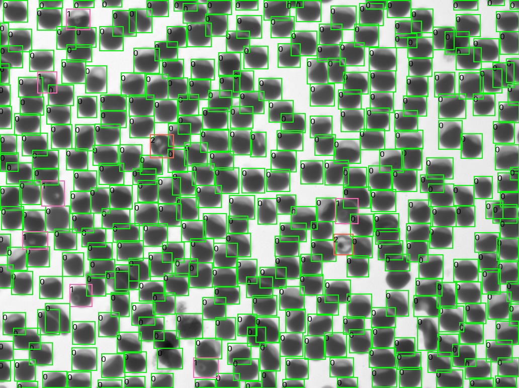 Per-cell YOGO classification