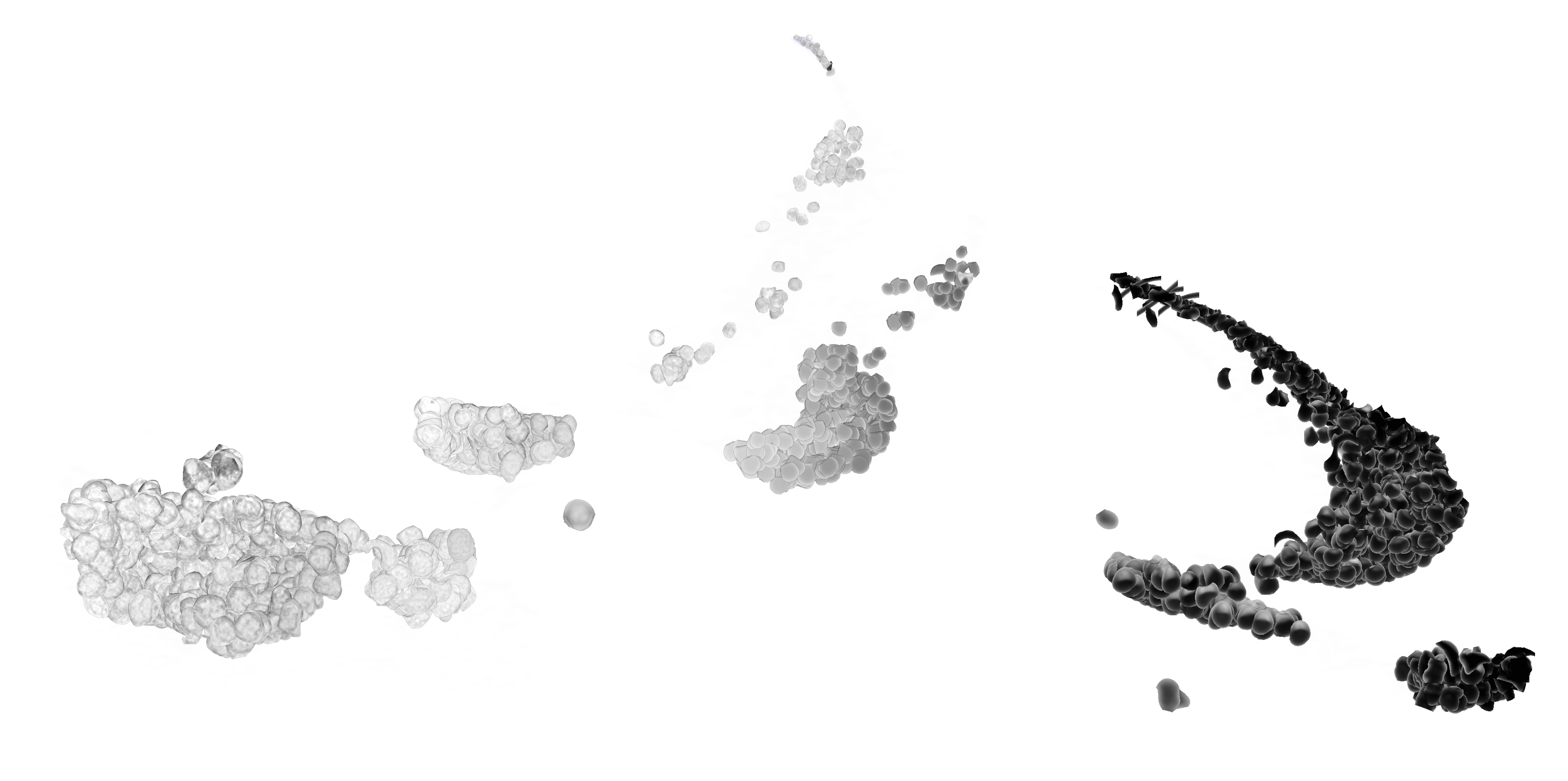 Cell morphology map