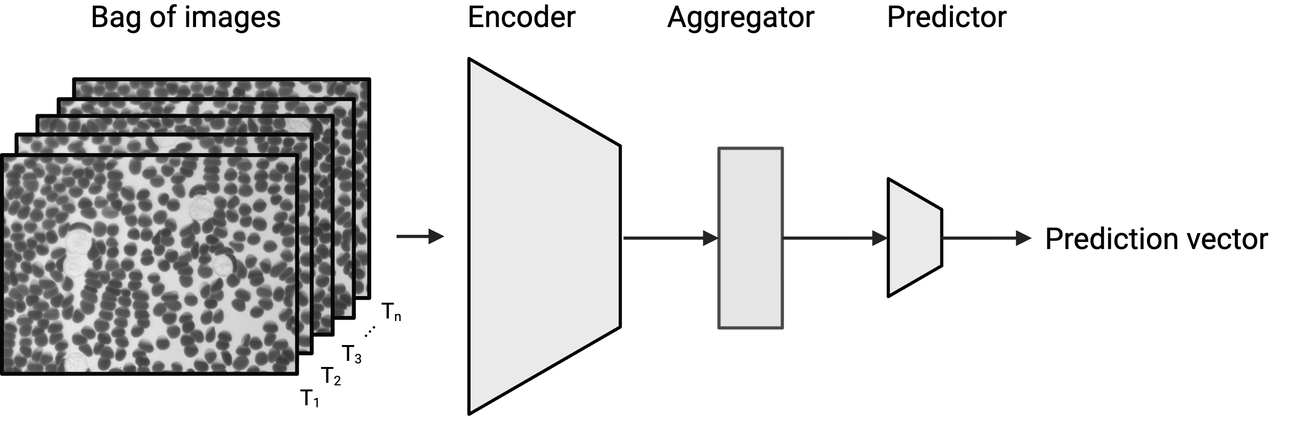 remo-ID network architecture