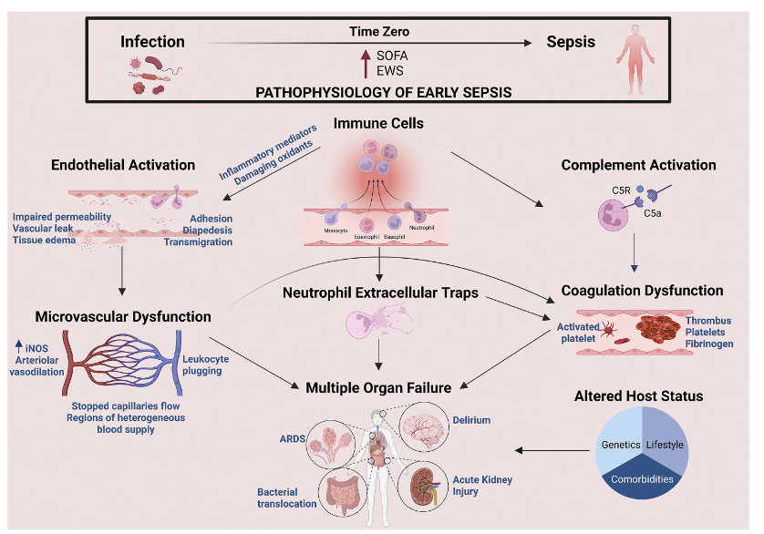 Sepsis clinical context